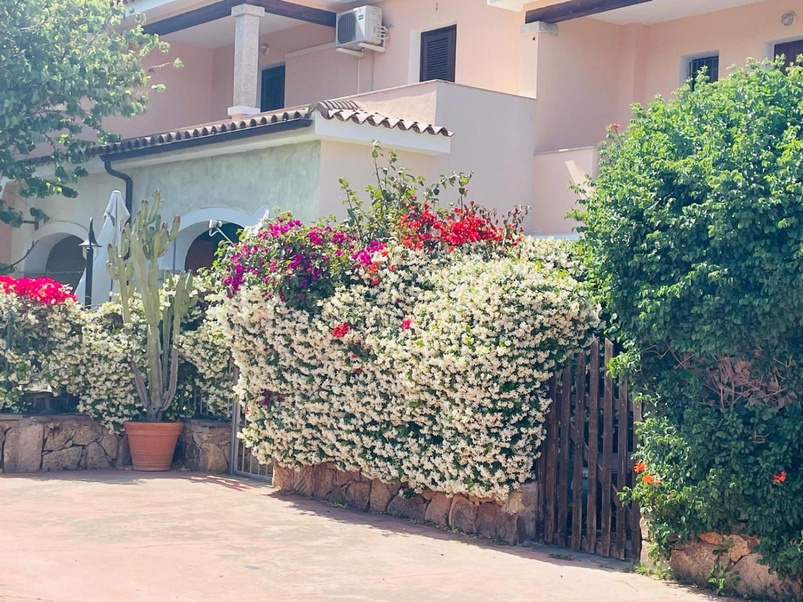 Appartamento Le Querce Vaccileddi Εξωτερικό φωτογραφία